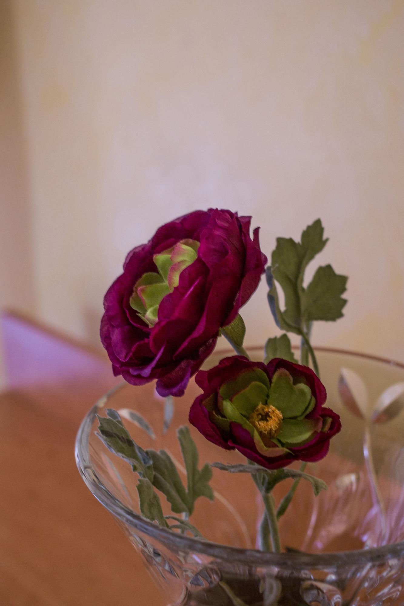Hotel Angelica Φλωρεντία Εξωτερικό φωτογραφία